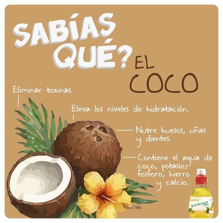 curiosidad_16896555789JrEUx.jpeg